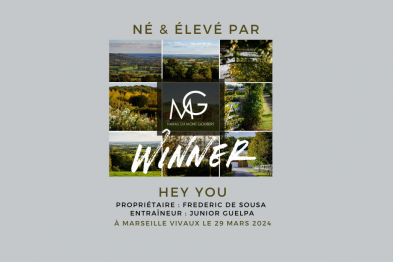 GAGNANT DU JOUR