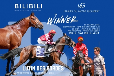 Vainqueur du jour