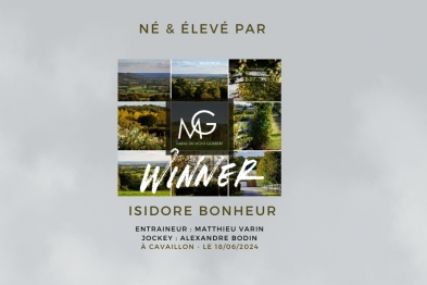 QUE DU BONHEUR!