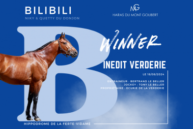 INEDIT VERDERIE