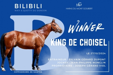 KING DE CHOISEL