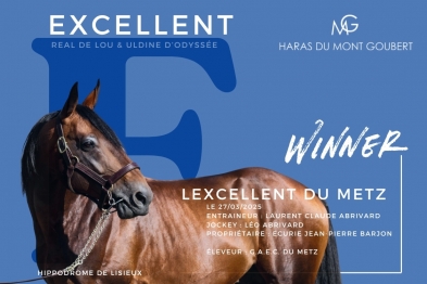 LEXCELLENT DU METZ