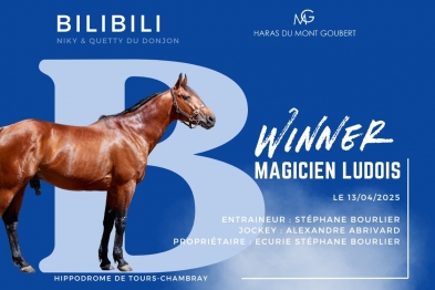 MAGICIEN LUDOIS