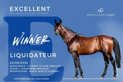 LIQUIDATEUR