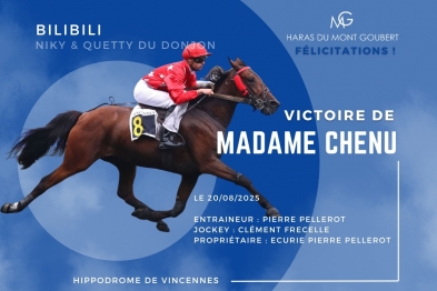 MADAME CHENU