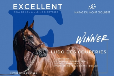 LUDO DES COUPERIES