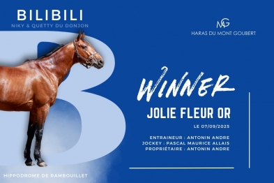 JOLIE FLEUR OR