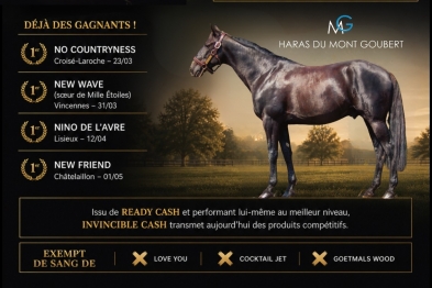 INVINCIBLE CASH