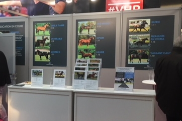 Retrouvez-nous sur le salon des Etalons à Vincennes